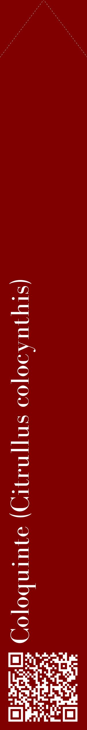 Étiquette de : Citrullus colocynthis - format c - style blanche29_simplebod avec qrcode et comestibilité