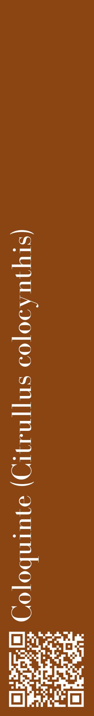 Étiquette de : Citrullus colocynthis - format c - style blanche30_basiquebod avec qrcode et comestibilité