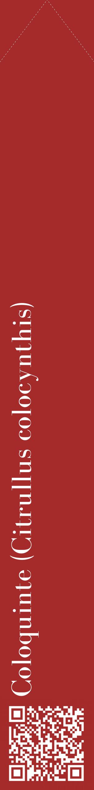 Étiquette de : Citrullus colocynthis - format c - style blanche33_simplebod avec qrcode et comestibilité