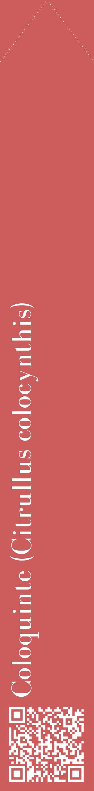 Étiquette de : Citrullus colocynthis - format c - style blanche35_simplebod avec qrcode et comestibilité