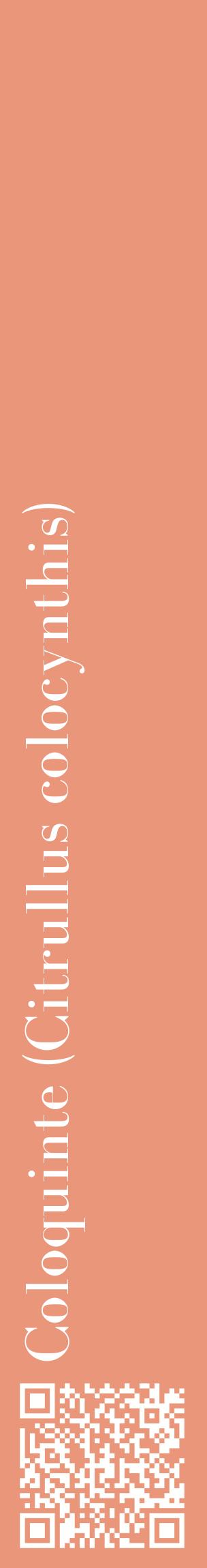 Étiquette de : Citrullus colocynthis - format c - style blanche37_basiquebod avec qrcode et comestibilité