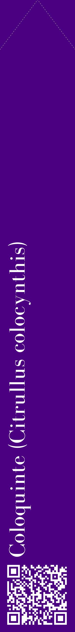 Étiquette de : Citrullus colocynthis - format c - style blanche47_simplebod avec qrcode et comestibilité