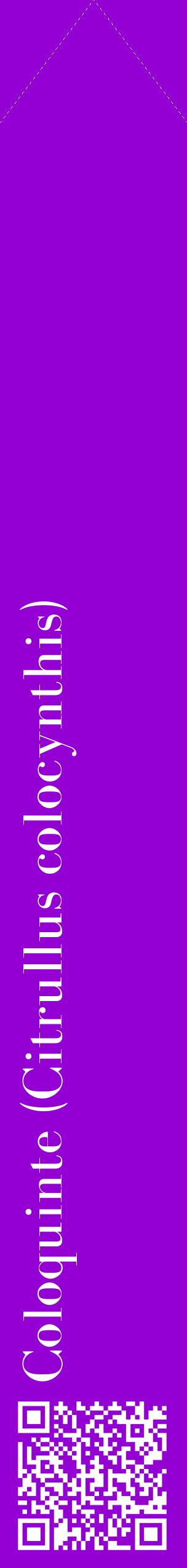 Étiquette de : Citrullus colocynthis - format c - style blanche48_simplebod avec qrcode et comestibilité