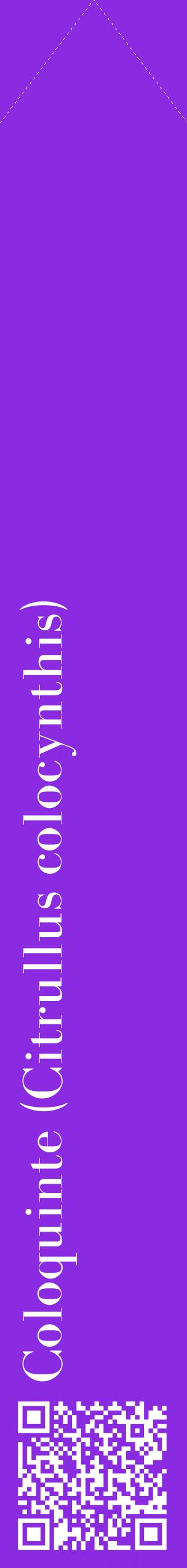 Étiquette de : Citrullus colocynthis - format c - style blanche49_simplebod avec qrcode et comestibilité