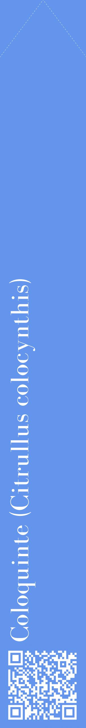 Étiquette de : Citrullus colocynthis - format c - style blanche4_simplebod avec qrcode et comestibilité