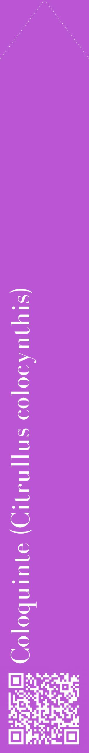 Étiquette de : Citrullus colocynthis - format c - style blanche50_simplebod avec qrcode et comestibilité