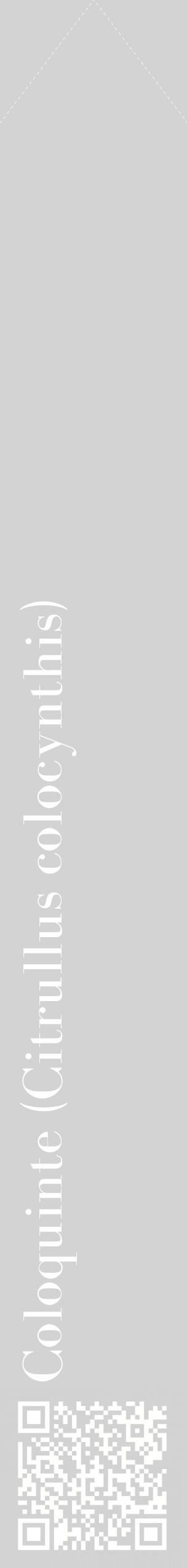 Étiquette de : Citrullus colocynthis - format c - style blanche56_simplebod avec qrcode et comestibilité
