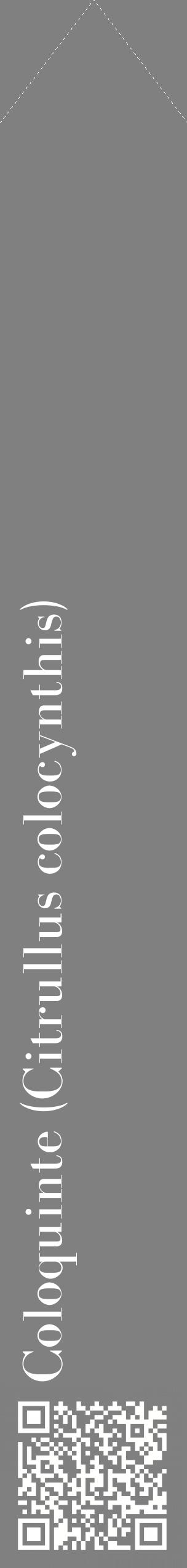 Étiquette de : Citrullus colocynthis - format c - style blanche57_simplebod avec qrcode et comestibilité