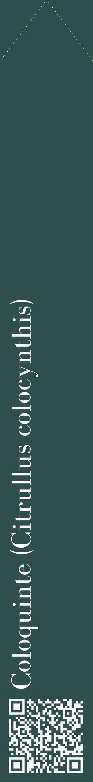 Étiquette de : Citrullus colocynthis - format c - style blanche58_simplebod avec qrcode et comestibilité