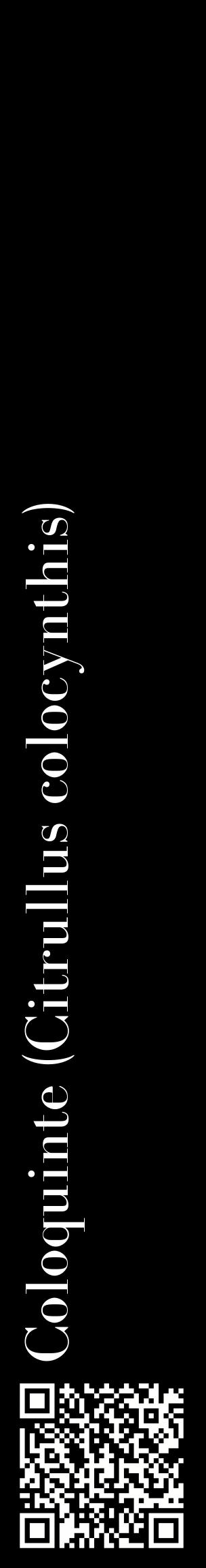 Étiquette de : Citrullus colocynthis - format c - style blanche59_basiquebod avec qrcode et comestibilité
