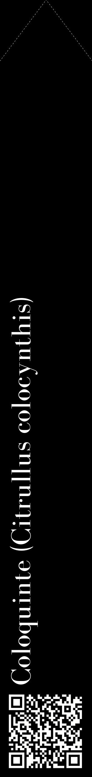 Étiquette de : Citrullus colocynthis - format c - style blanche59_simplebod avec qrcode et comestibilité