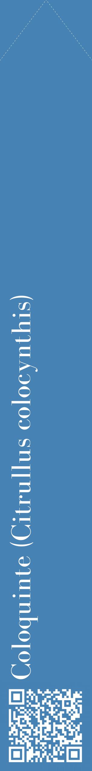 Étiquette de : Citrullus colocynthis - format c - style blanche5_simplebod avec qrcode et comestibilité
