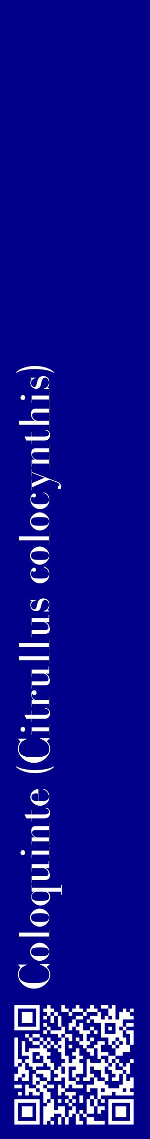 Étiquette de : Citrullus colocynthis - format c - style blanche7_basiquebod avec qrcode et comestibilité