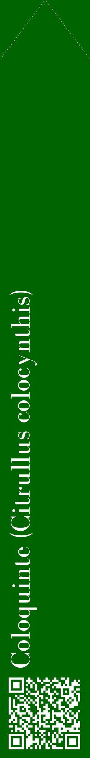 Étiquette de : Citrullus colocynthis - format c - style blanche8_simplebod avec qrcode et comestibilité