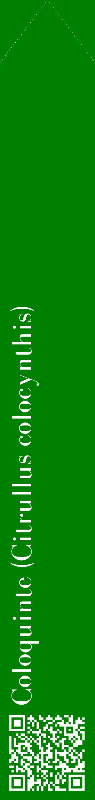 Étiquette de : Citrullus colocynthis - format c - style blanche9_simplebod avec qrcode et comestibilité