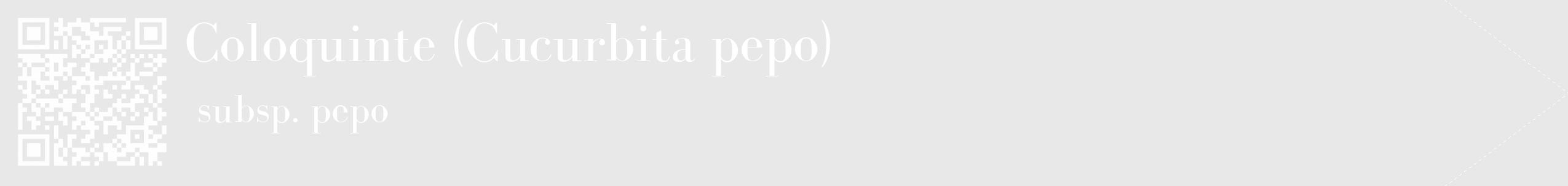 Étiquette de : Cucurbita pepo subsp. pepo - format c - style blanche55_simple_simplebod avec qrcode et comestibilité