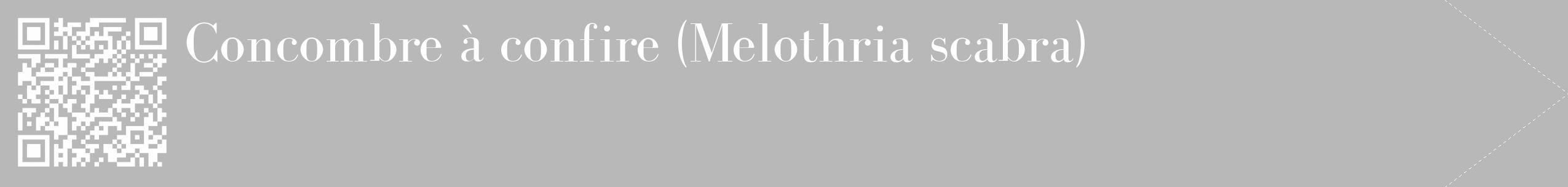 Étiquette de : Melothria scabra - format c - style blanche39_simple_simplebod avec qrcode et comestibilité