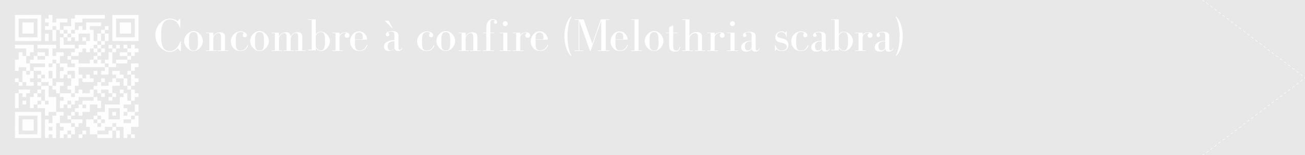Étiquette de : Melothria scabra - format c - style blanche55_simple_simplebod avec qrcode et comestibilité