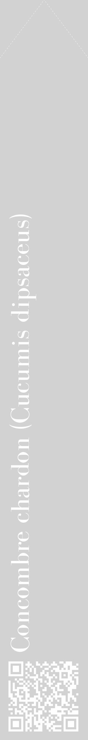 Étiquette de : Cucumis dipsaceus - format c - style blanche14_simple_simplebod avec qrcode et comestibilité - position verticale