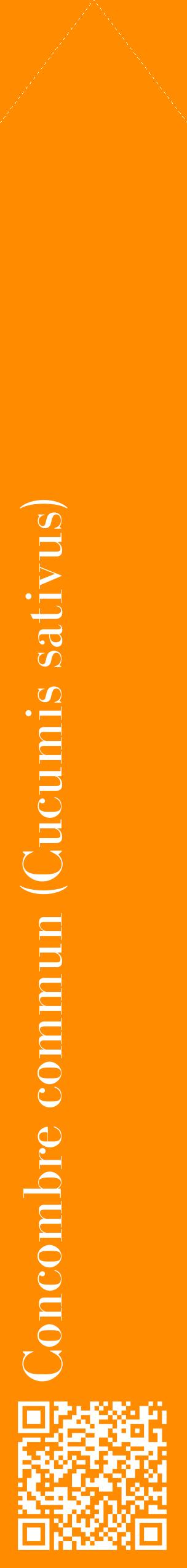 Étiquette de : Cucumis sativus - format c - style blanche23_simplebod avec qrcode et comestibilité