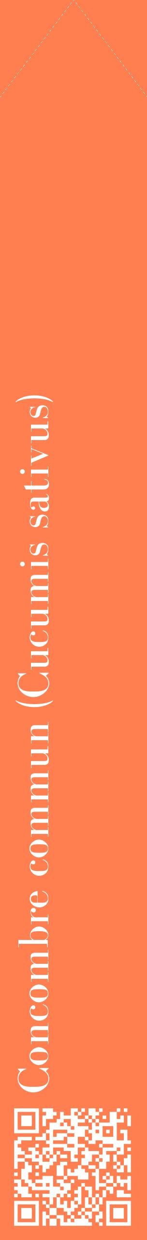 Étiquette de : Cucumis sativus - format c - style blanche24_simplebod avec qrcode et comestibilité