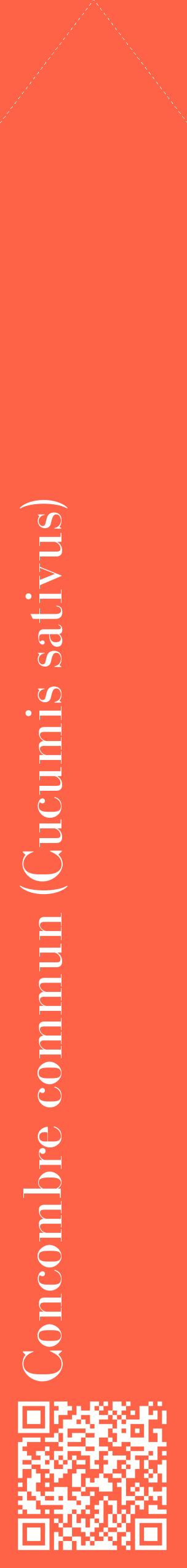 Étiquette de : Cucumis sativus - format c - style blanche25_simplebod avec qrcode et comestibilité