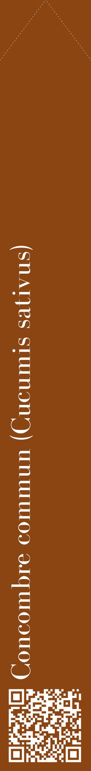 Étiquette de : Cucumis sativus - format c - style blanche30_simplebod avec qrcode et comestibilité