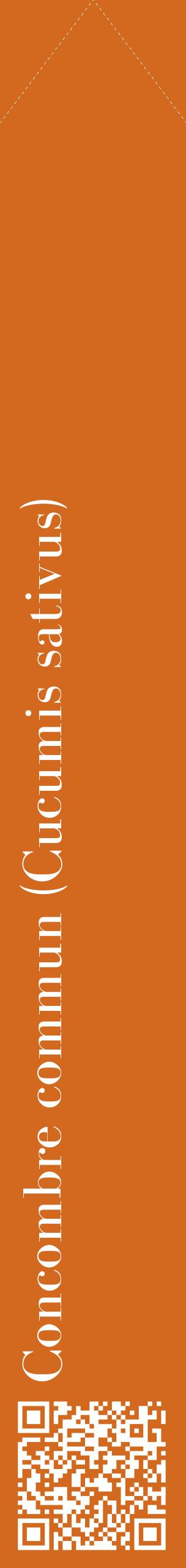 Étiquette de : Cucumis sativus - format c - style blanche31_simplebod avec qrcode et comestibilité