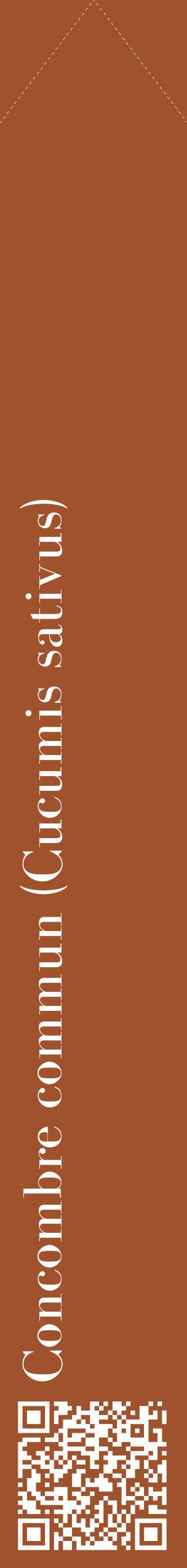 Étiquette de : Cucumis sativus - format c - style blanche32_simplebod avec qrcode et comestibilité