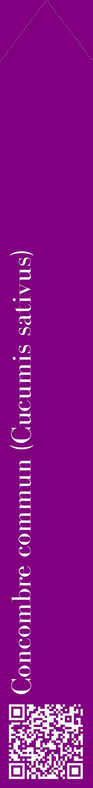 Étiquette de : Cucumis sativus - format c - style blanche46_simplebod avec qrcode et comestibilité