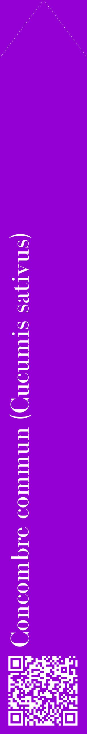 Étiquette de : Cucumis sativus - format c - style blanche48_simplebod avec qrcode et comestibilité