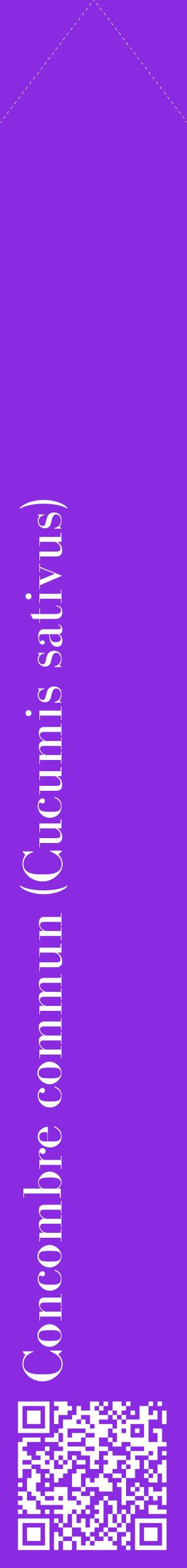 Étiquette de : Cucumis sativus - format c - style blanche49_simplebod avec qrcode et comestibilité