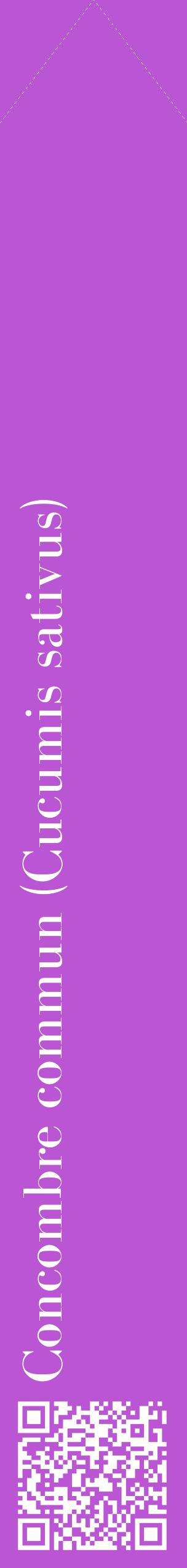 Étiquette de : Cucumis sativus - format c - style blanche50_simplebod avec qrcode et comestibilité