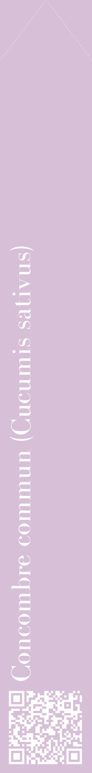 Étiquette de : Cucumis sativus - format c - style blanche54_simplebod avec qrcode et comestibilité