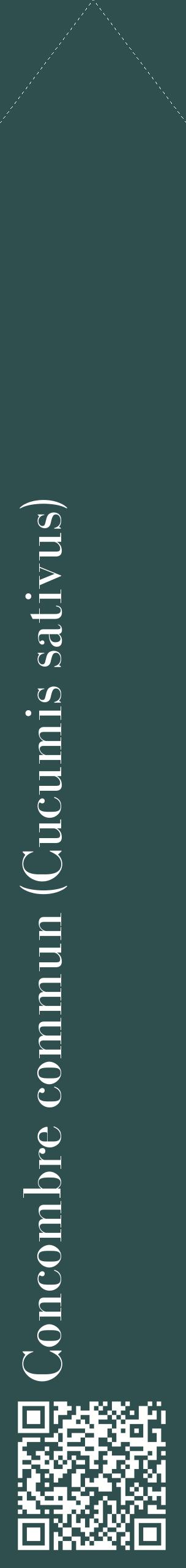Étiquette de : Cucumis sativus - format c - style blanche58_simplebod avec qrcode et comestibilité