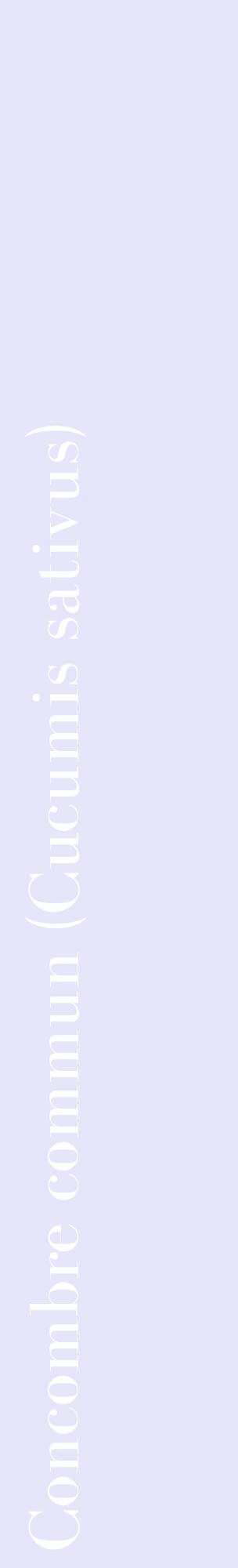 Étiquette de : Cucumis sativus - format c - style blanche55_basiquebod avec comestibilité