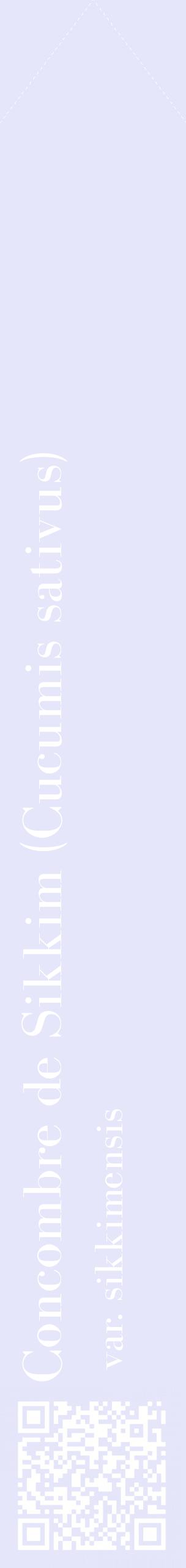 Étiquette de : Cucumis sativus var. sikkimensis - format c - style blanche55_simplebod avec qrcode et comestibilité