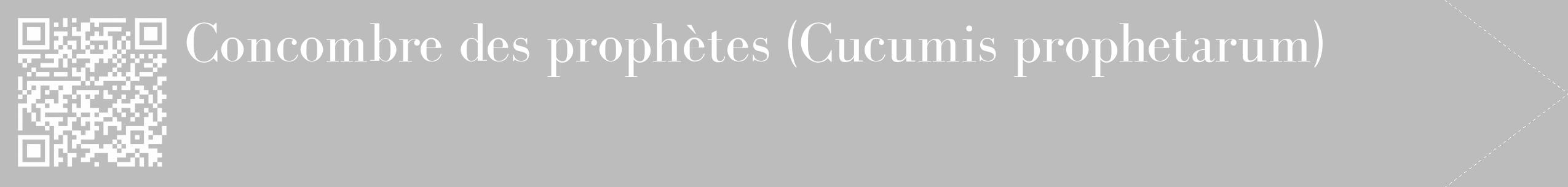 Étiquette de : Cucumis prophetarum - format c - style blanche1_simple_simplebod avec qrcode et comestibilité