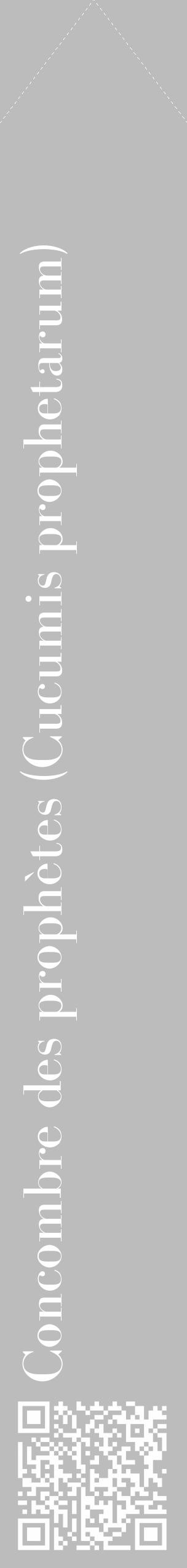 Étiquette de : Cucumis prophetarum - format c - style blanche1_simple_simplebod avec qrcode et comestibilité - position verticale