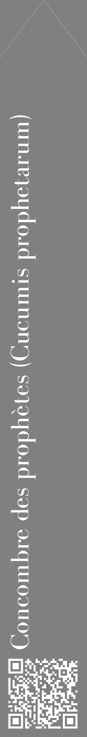 Étiquette de : Cucumis prophetarum - format c - style blanche57_simplebod avec qrcode et comestibilité