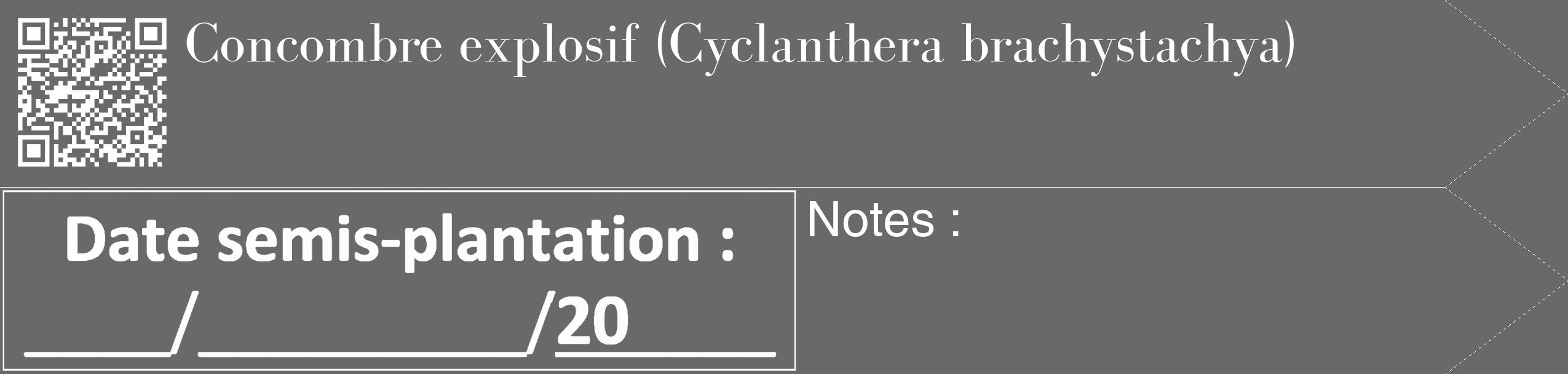 Étiquette de : Cyclanthera brachystachya - format c - style blanche51_simple_simplebod avec qrcode et comestibilité