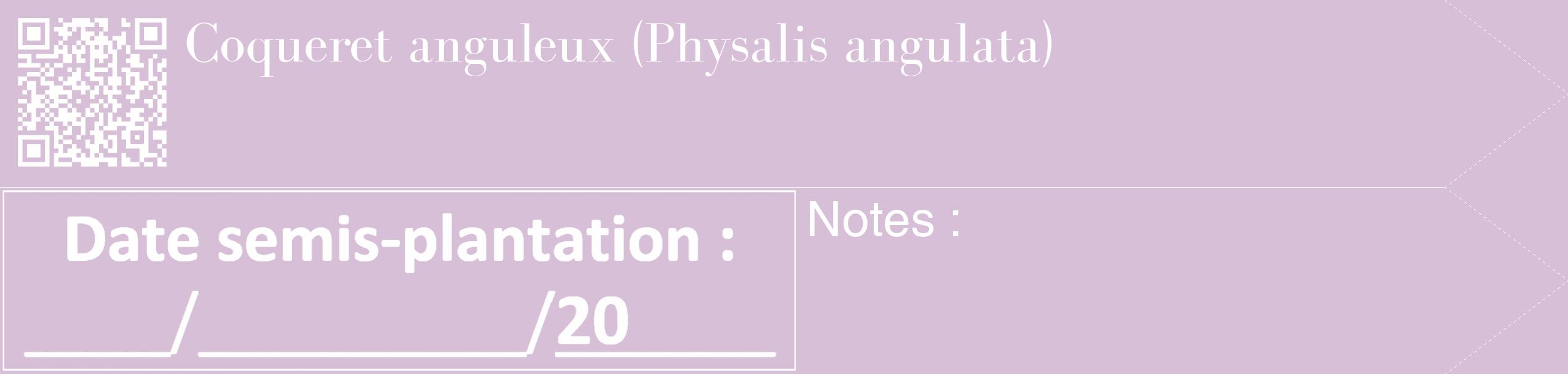Étiquette de : Physalis angulata - format c - style blanche54_simple_simplebod avec qrcode et comestibilité