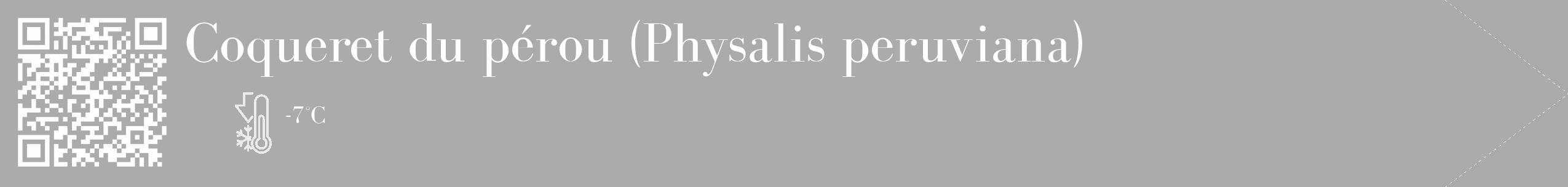 Étiquette de : Physalis peruviana - format c - style blanche37_simple_simplebod avec qrcode et comestibilité