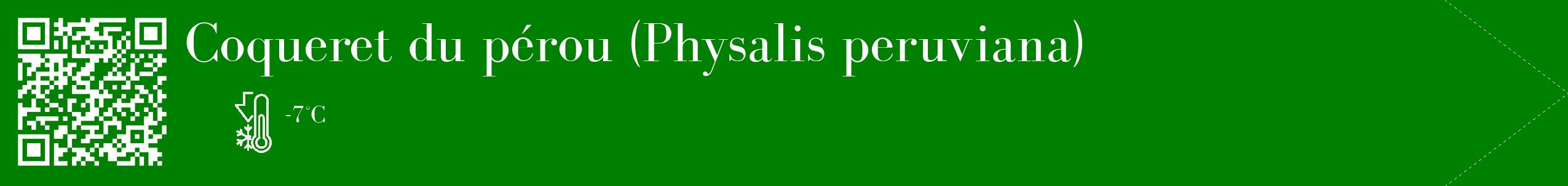 Étiquette de : Physalis peruviana - format c - style blanche9_simple_simplebod avec qrcode et comestibilité