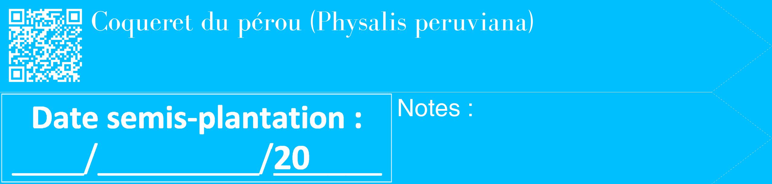 Étiquette de : Physalis peruviana - format c - style blanche2_simple_simplebod avec qrcode et comestibilité