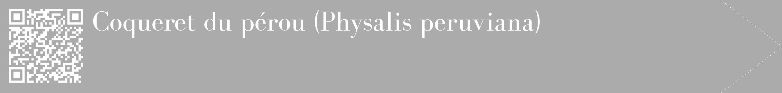 Étiquette de : Physalis peruviana - format c - style blanche37_simple_simplebod avec qrcode et comestibilité