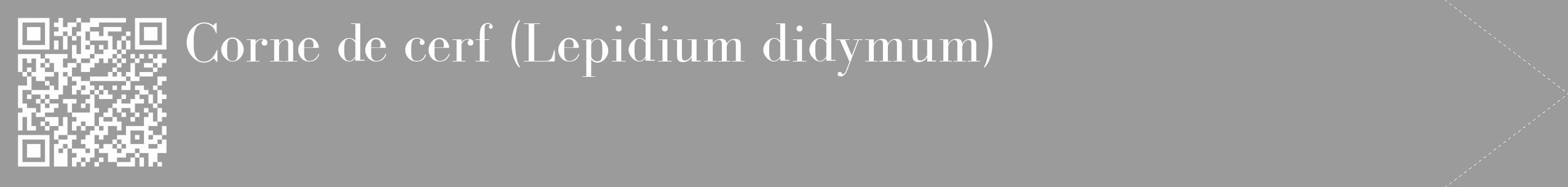 Étiquette de : Lepidium didymum - format c - style blanche52_simple_simplebod avec qrcode et comestibilité