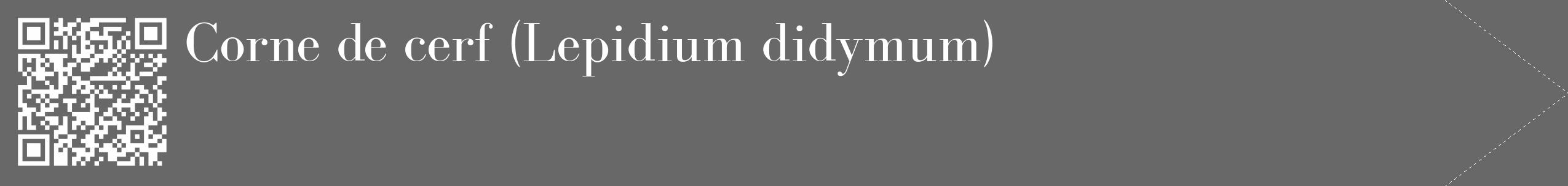 Étiquette de : Lepidium didymum - format c - style blanche6_simple_simplebod avec qrcode et comestibilité