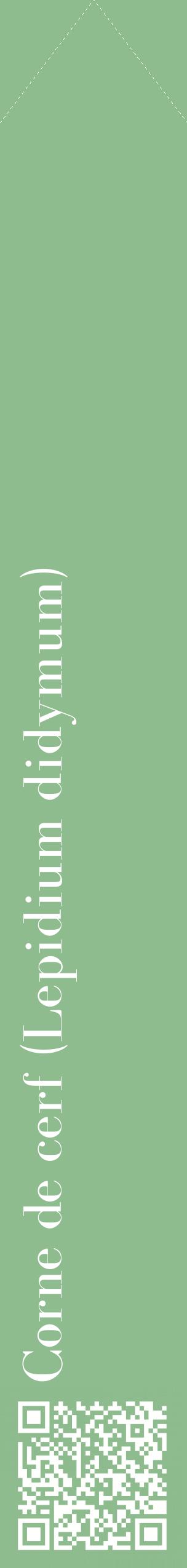 Étiquette de : Lepidium didymum - format c - style blanche13_simplebod avec qrcode et comestibilité