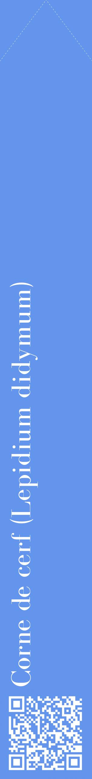 Étiquette de : Lepidium didymum - format c - style blanche4_simplebod avec qrcode et comestibilité